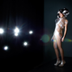 Illustration for article titled Undress a Woman Using Radio Frequencies